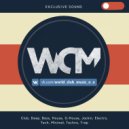 Austin Mahone ft. Pitbull - Lady (Wideboys Pool Party Extended)