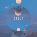 DiPER - Crazy