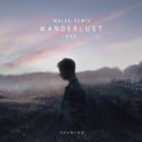 DNZ - Wanderlust (malek Remix)