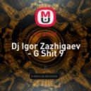 Dj Igor Zazhigaev - G Shit 9