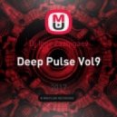 Dj Igor Zazhigaev - Deep Pulse Vol9