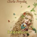 Chris Pryde - Darkness (Original Mix)