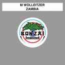 M Wolleitzer - Zambia