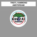 Treitl Hammond - Amsterdam (Greg Stainer Remix)