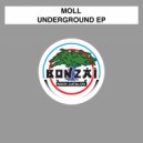Moll - Towering (Original Mix)