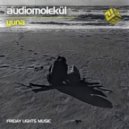 Audiomolekul - Yuna (Original Mix)