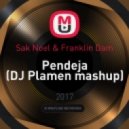 Sak Noel & Franklin Dam - Pendeja (DJ Plamen mashup) (Original Mix)