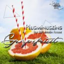 Plusminuseins feat. BJH Berlin Future - Plus Grapefruit (Original Mix)