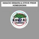Ignacio Demaria and Steve Prior & Ignacio Demaria & Steve Prior - Homegrown (The Second & Joe Fisher Remix)