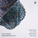 Floyd Jackson - Section Sector (Olly Davis Remix)