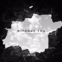 Avicci Ft. Sandro Cavazza vs MiloMilo - Without You (Julio Crossover Mashup)