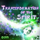 Cosmos Vibration - Life Equation (Original Mix)