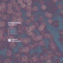 Hydrangea - Osmosis III