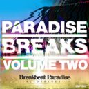 The Breakbeat Junkie & DJP - Freak Hop Part 3