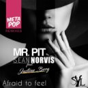 Mr. Pit & Sean Norvis & Justine Berg - Afraid To Feel
