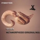 Wodok & & - Metamorphosis
