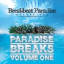 Phunk Sinatra & Basement Freaks - Sound Like That (Basement Remix)