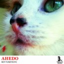 Boy Funktastic - Ahedo (Original mix)