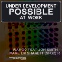WAHOO FEAT. JON SMITH - MAKE EM SHAKE IT