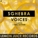 Sghebra - Smell The Future