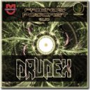 Drudex - Friends Podcast Vol.148 ()