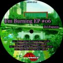 DJ Papaya - Free Soul, Free Body (Original Mix)