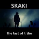 Skaki - Flight Over The Emptiness (Original Mix)