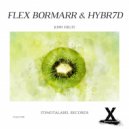Flex Bormarr & HYBR7D - Kiwi Fruit