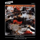 Sasa Radic - Voices (Original Mix)