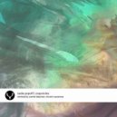 Nadia Popoff - Cropcircles (Vincent Casanova)