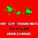 HOPE & DJ PP & THOUSAND NIGHTS - Sex frog doll (MASHUP DJ MARQUES)