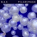 B.A.X. - Pilgrimage