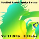 DJ Peter - Soulful Deep Funky House Vol 17 2018