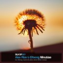 Alex Rize & Elfsong - Minutiae (Elfsong\'s Chillout remix)