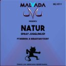 Natur & Sebastian Tourt & Reddish - Raying Walls (Original Mix)