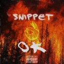SNIPPET - OK