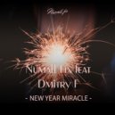 Numall Fix & Dmitry F - New Year's miracle