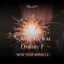 Numall Fix & Dmitry F - New Year's miracle