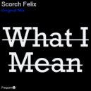 Scorch Felix - What I Mean