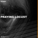 Skippo - Praying Locust