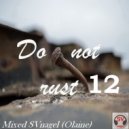 SVnagel (Olaine) - Do Not Rust-12 SVnagel set