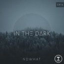 ndWhat - Alone in the Dark