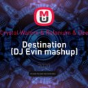 Alex Gaudino & Crystal Waters & Relanium & Deen West & Killjoy - Destination (DJ Evin mashup)