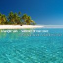 Triangle Sun - Summer of Our Love (SolarFlow feat DSP studio Cover)
