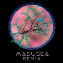 Ian Ewing feat. Rob Araujo - Cereus (Madusea Remix)