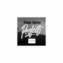 Princess Superstar - Perfect (SheffeR Remix)