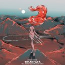 Adrian Roman - Timanfaya