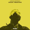 Aaron Dmitriew - Dream State