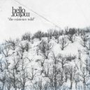 Hello Meteor - Many Complaints Beyond Dreaming