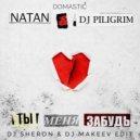 Natan, DJ Piligrim & Domastic - Ты меня забудь